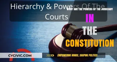 The Judiciary: Constitutional Powers Explained