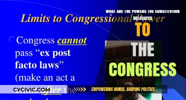 Congress' Powers: Understanding the US Constitution