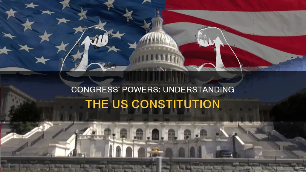 what are the powers the constitution delegates to the congress