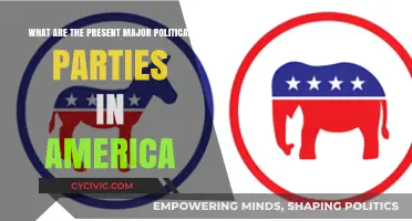Exploring America's Current Major Political Parties and Their Influence