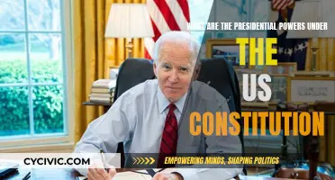 The President's Powers: Understanding US Constitutional Limits