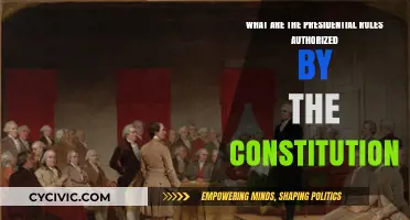 The President's Powers: Exploring Constitutional Roles