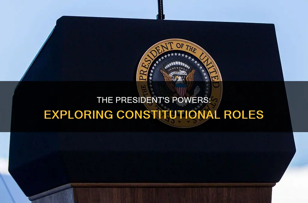 what are the presidential roles authorized by the constitution