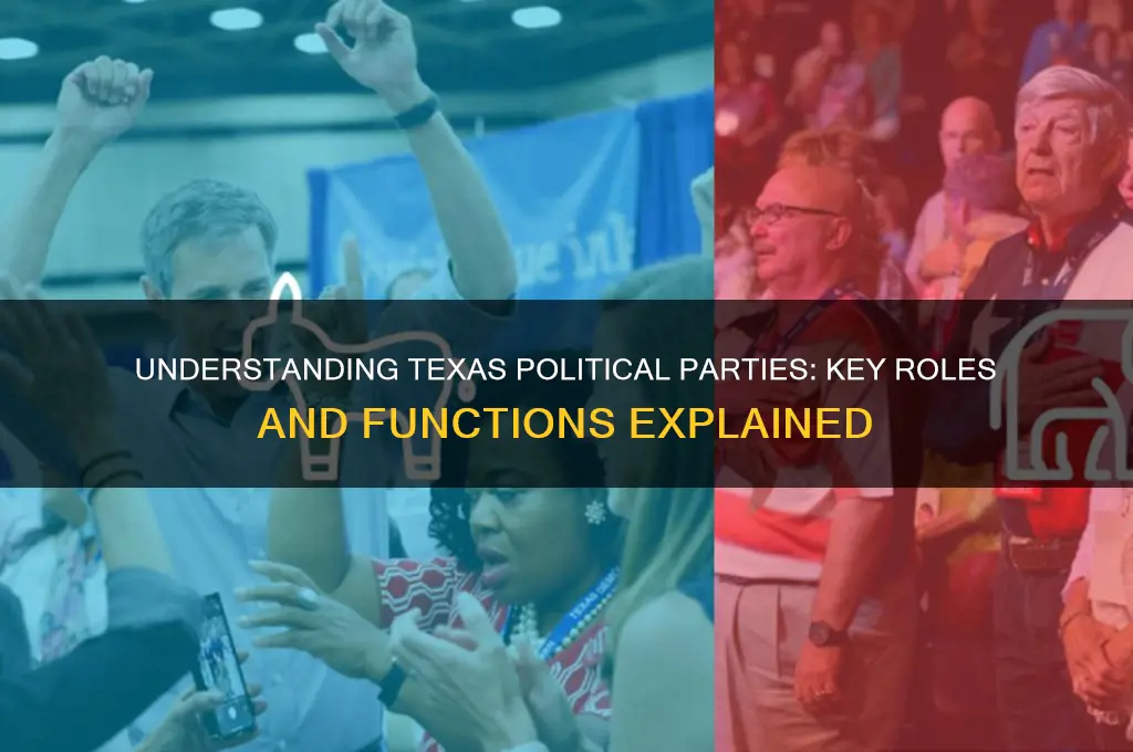 what are the primary functions of political parties in texas