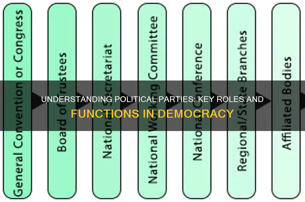 what are the primary functions of political parties
