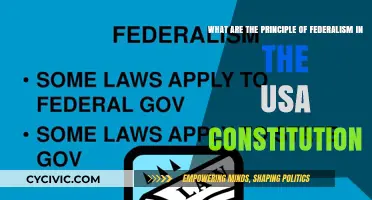 Federalism Principles: The US Constitution's Foundation