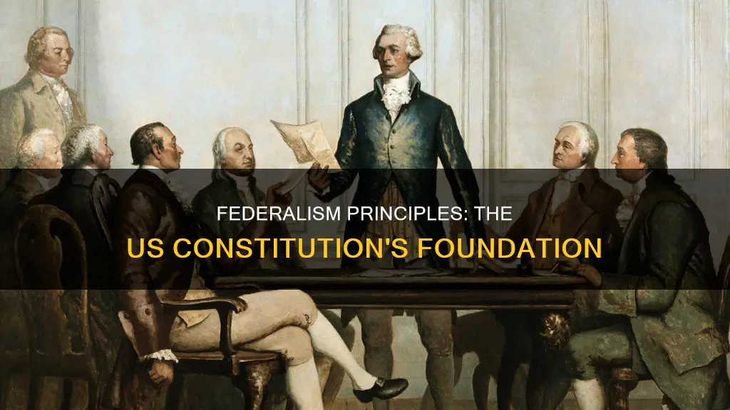 what are the principle of federalism in the usa constitution