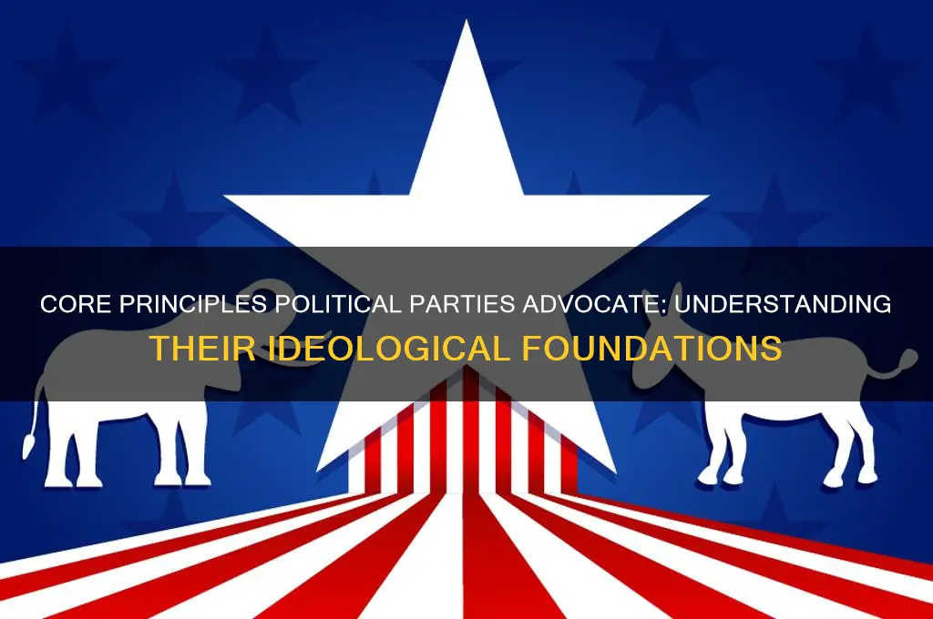 what are the principles that political parties support