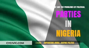 Nigeria's Political Parties: Internal Struggles and External Challenges Explored