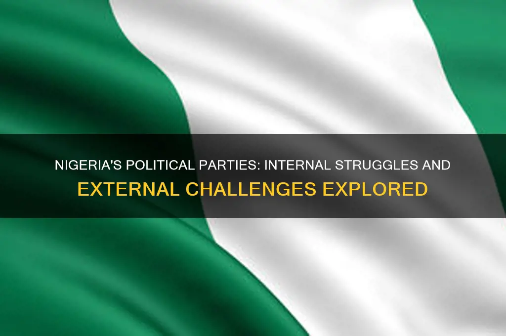 what are the problems of political parties in nigeria