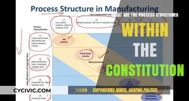 The Constitution's Process Structures: How They Work