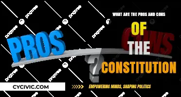 Constitution Pros and Cons: A Balancing Act