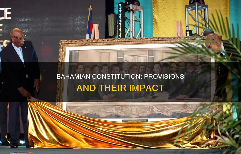 what are the provisions of the bahamian constitution