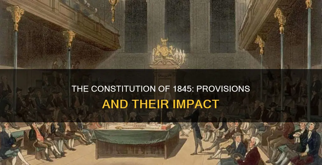 what are the provisions of the constitution of 1845