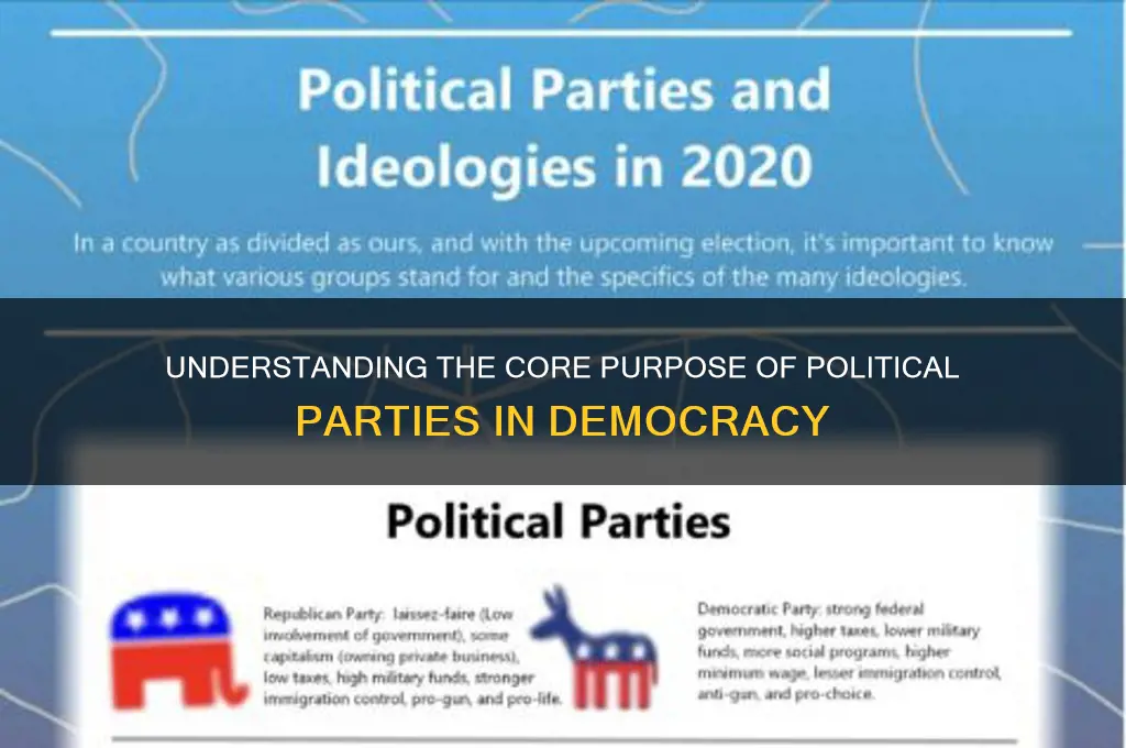 what are the purpose of political parties