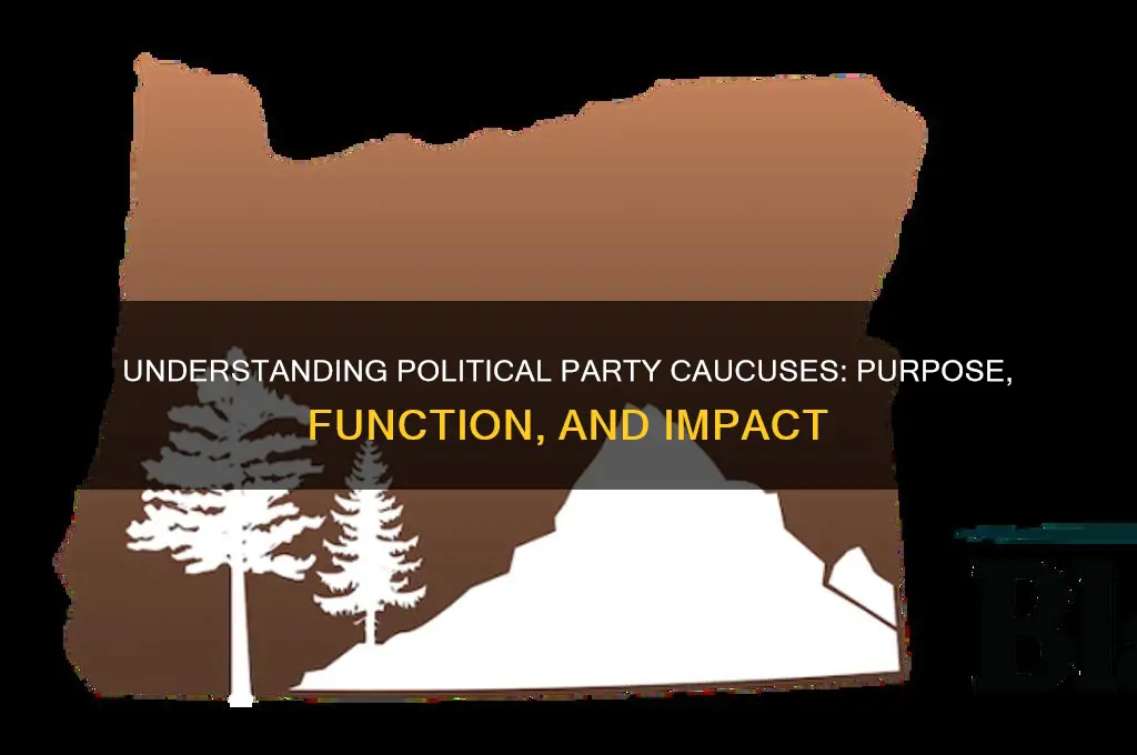 what are the purpose of political party caucuses