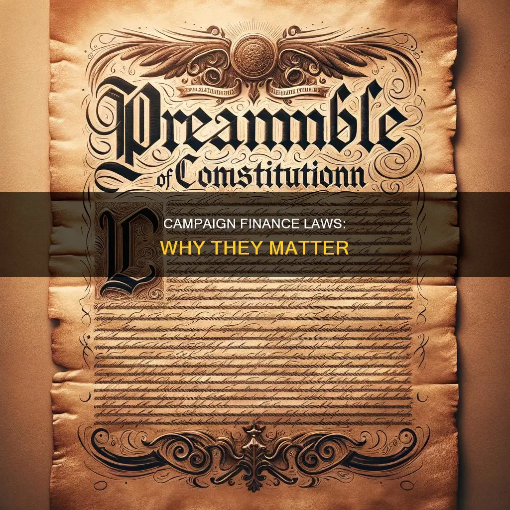 what are the purposes for campaign finance laws