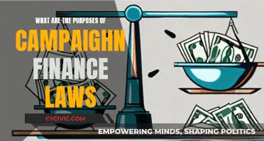 Campaign Finance Laws: Purposes and Their Importance