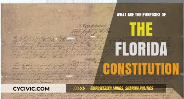 Understanding Florida's Constitution: Purposes and Principles