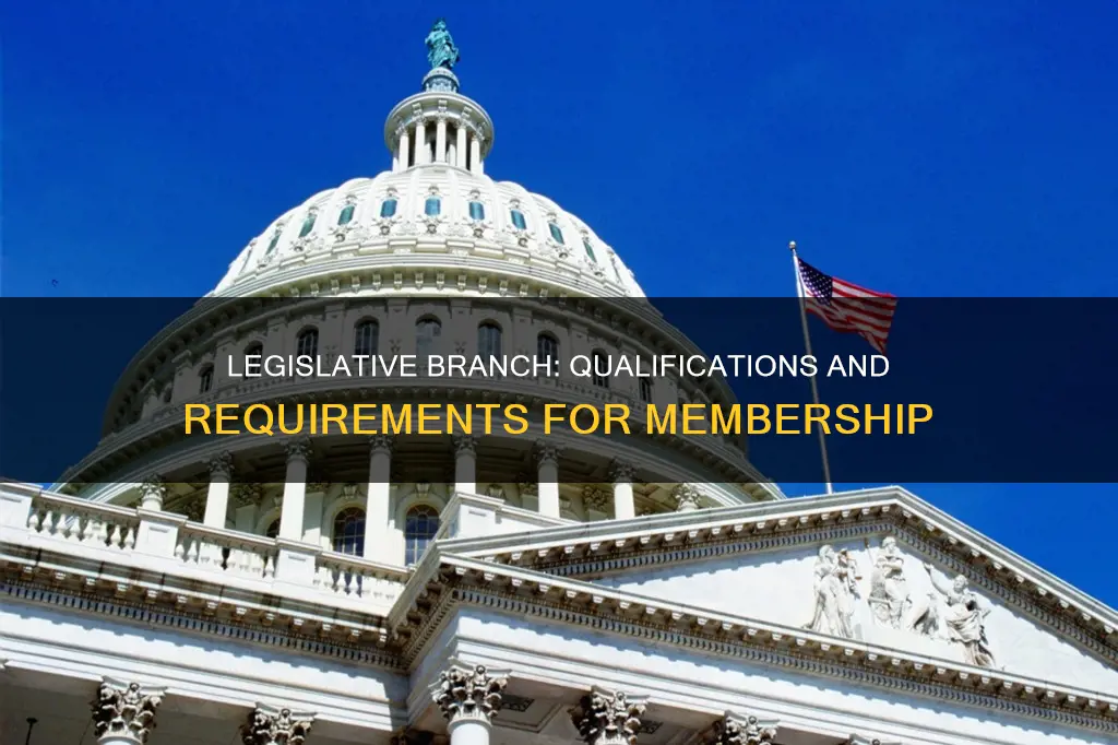 what are the qualifications to be in the legislative branch