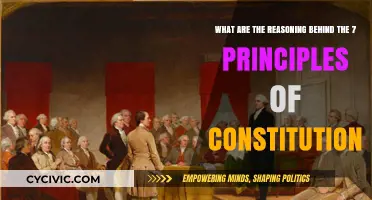 Understanding the Reasoning Behind India's Constitutional Principles