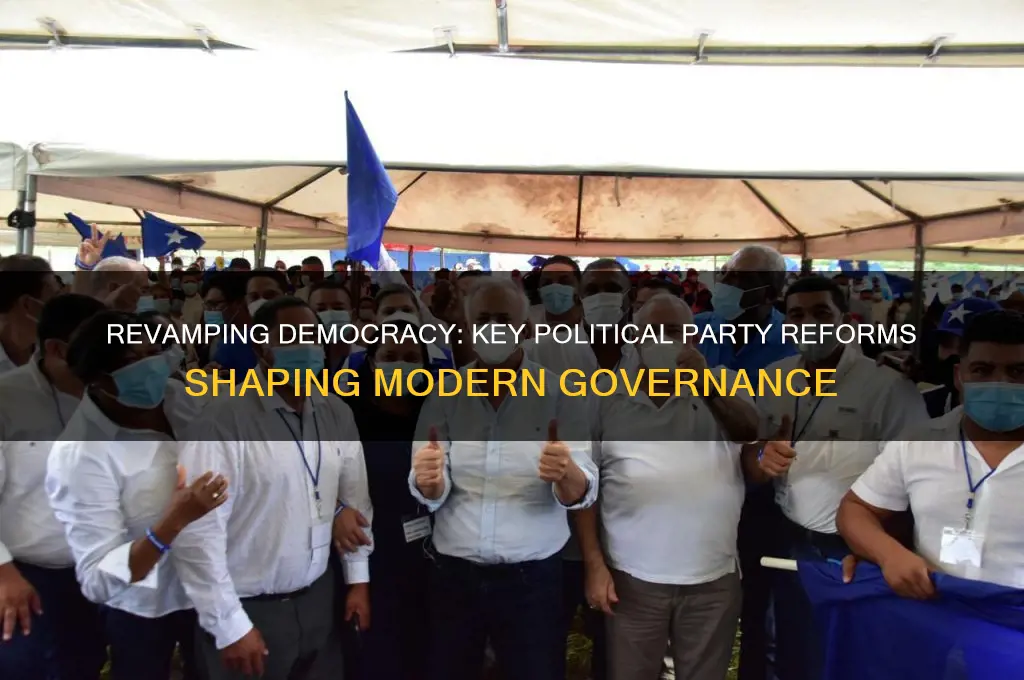 what are the reforms of political parties