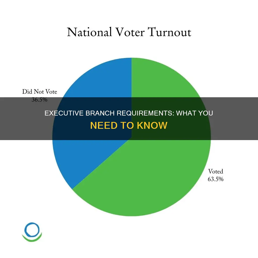 what are the requirements of the executive branch