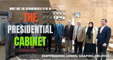 Who Qualifies to be in the Presidential Cabinet?