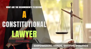 Key Steps to Becoming a Constitutional Lawyer