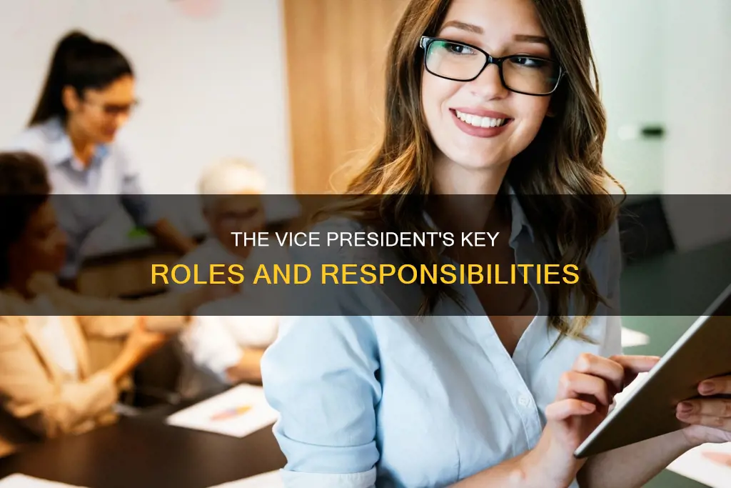 what are the responsabilities of the vice presedent