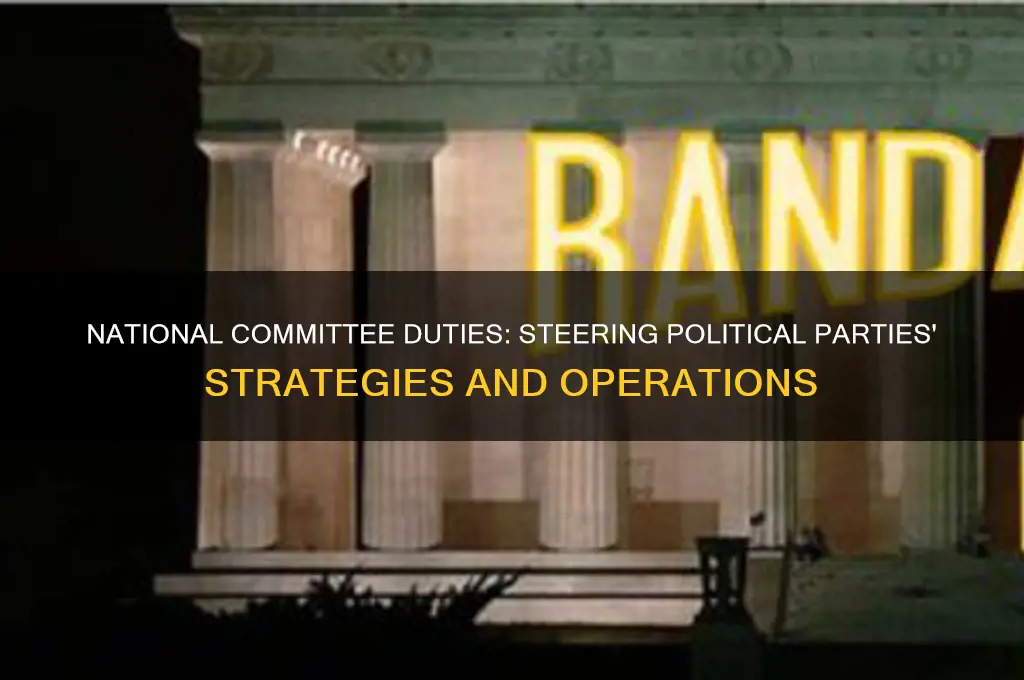 what are the responsibilities of a political party