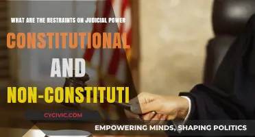 Judicial Power: Constitutional Constraints and Beyond