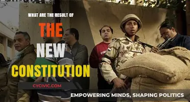 New Constitution: What Changes and Results?