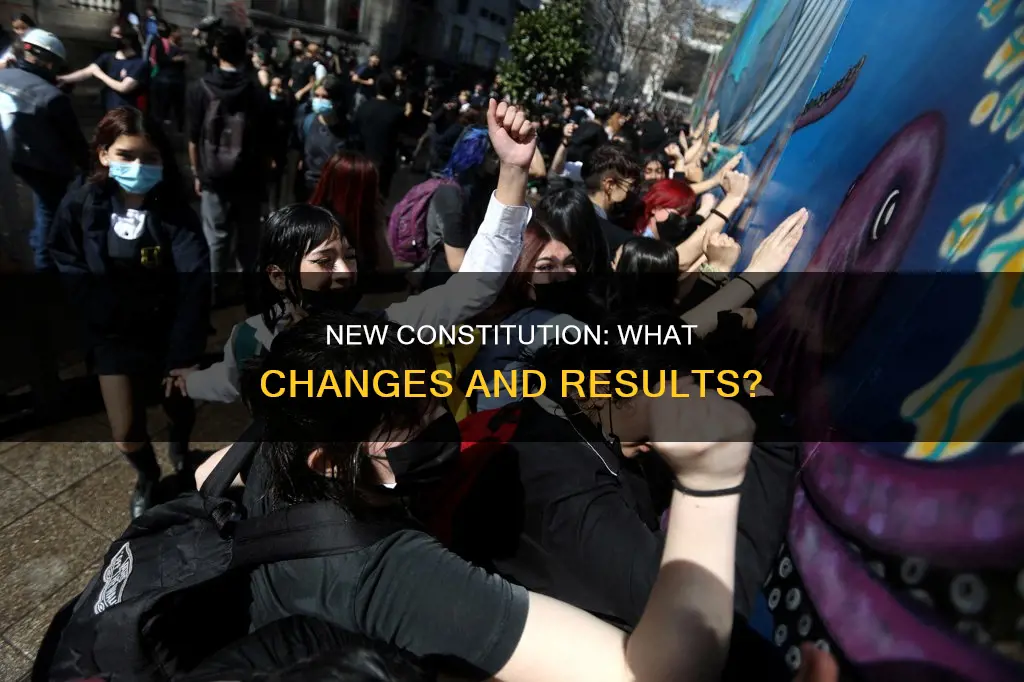 what are the result of the new constitution