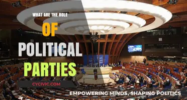 Understanding Political Parties: Their Roles and Impact on Governance