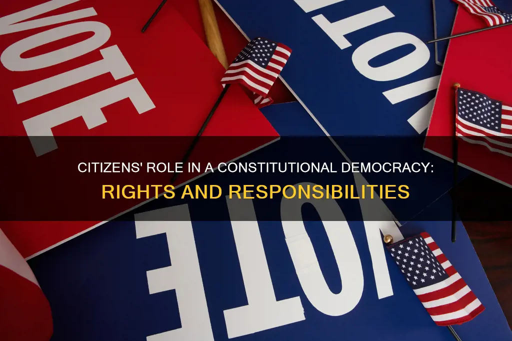 what are the roles of citizens in a constitutional democracy