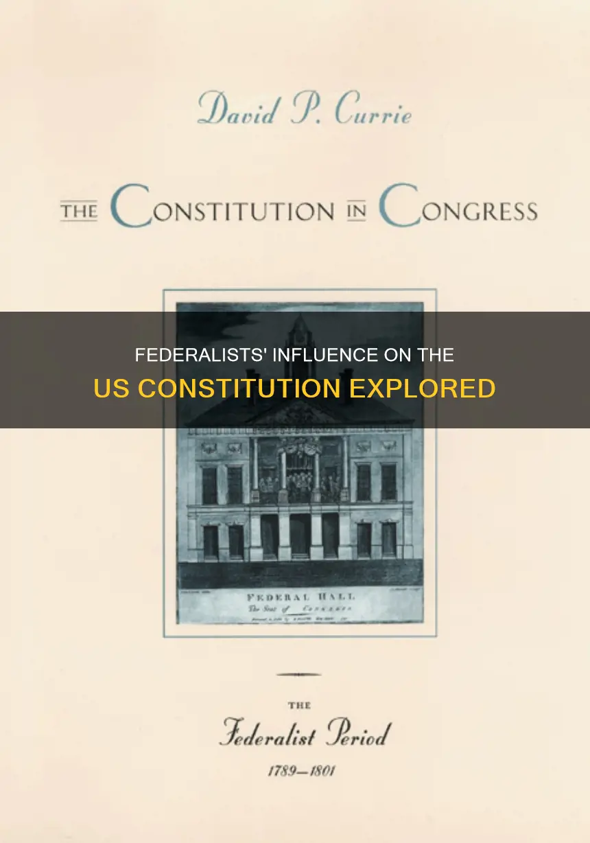 what are the roles of the federalists of the constitution
