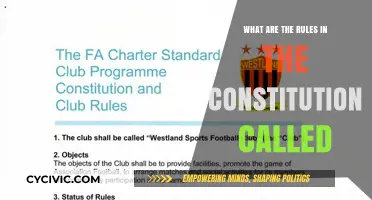 Constitution Rules: What Are They Named?