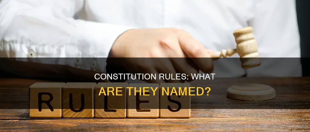 what are the rules in the constitution called