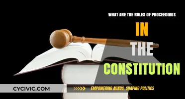 Understanding Constitutional Rules of Proceedings