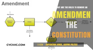Amending the Constitution: Rules for Removing Amendments