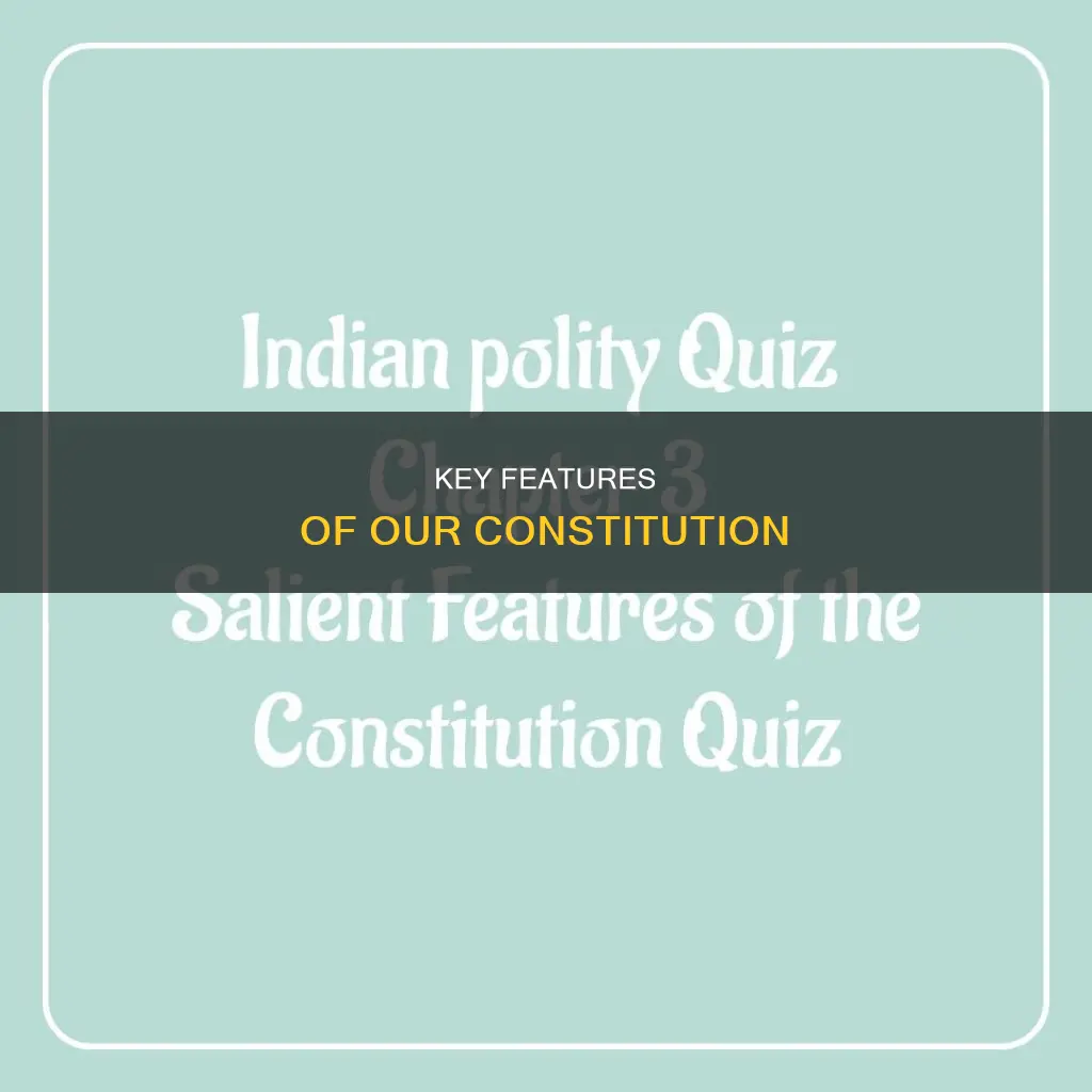 what are the salient features of our constitution