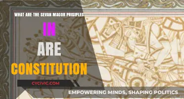 Our Constitution's Seven Sacred Principles