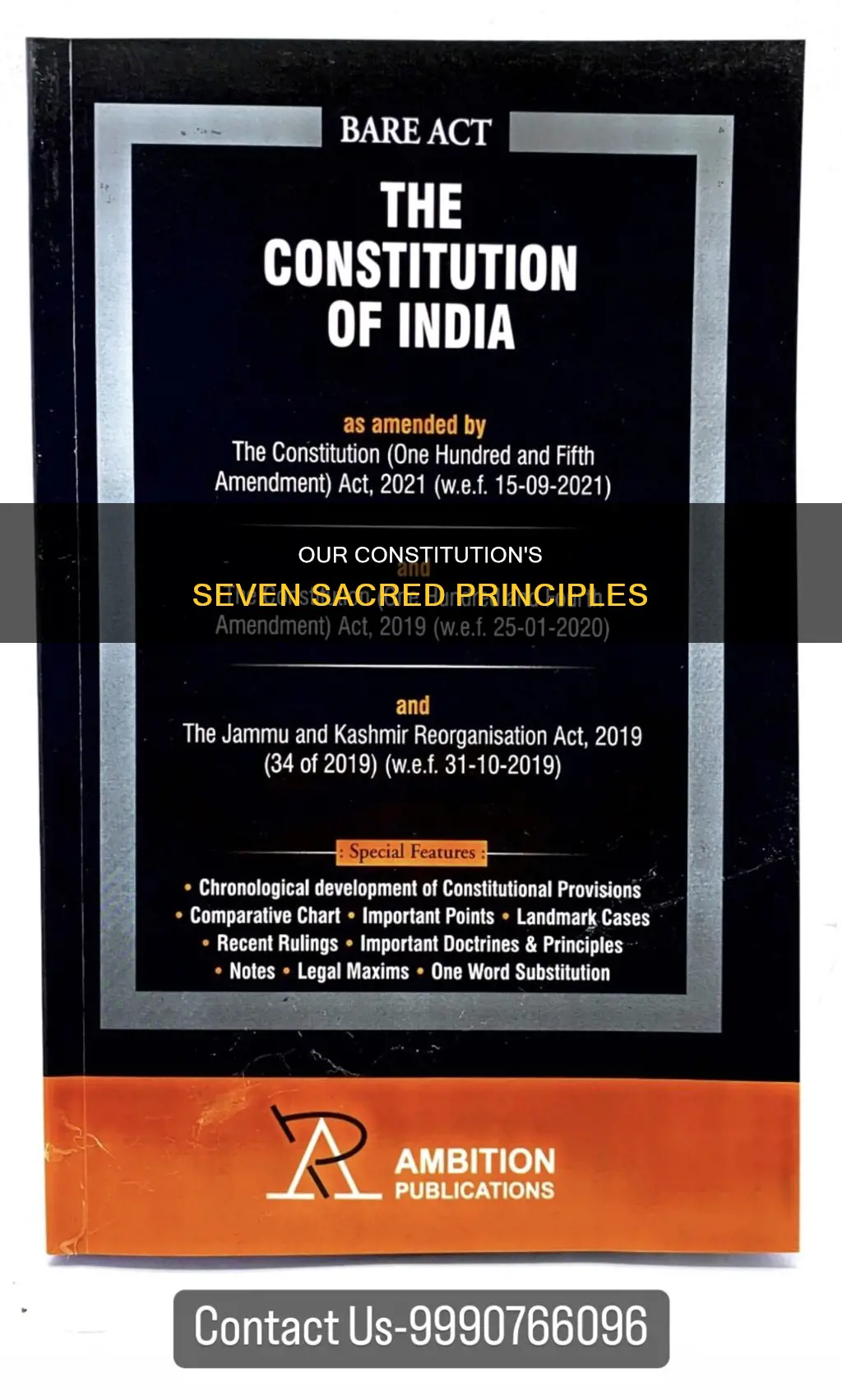 what are the sevan magor prisiples in are constitution