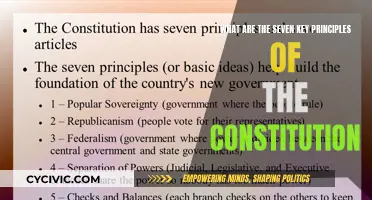 Understanding the Foundation: Key Principles of the Constitution