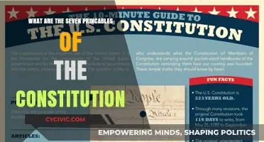 Understanding the Principles: The Constitution's Foundation