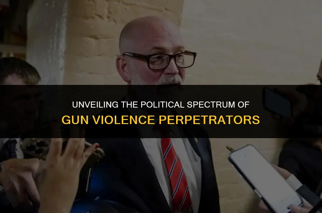 what are the shooters political affiliation