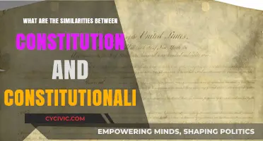 Constitution and Constitutionalism: Shared Roots and Values