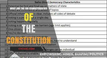 Key Constitution Characteristics: A Strong Foundation