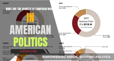 Campaign Money Sources in American Politics
